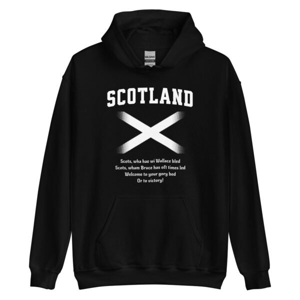 unisex-heavy-blend-hoodie-black-front-687cef528f699.jpg unisex-heavy-blend-hoodie-black-front-687cef528f699.jpg