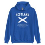 unisex-heavy-blend-hoodie-royal-front-687cef528b0e6.jpg