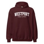 unisex-heavy-blend-hoodie-maroon-front-68914ad67056e.jpg